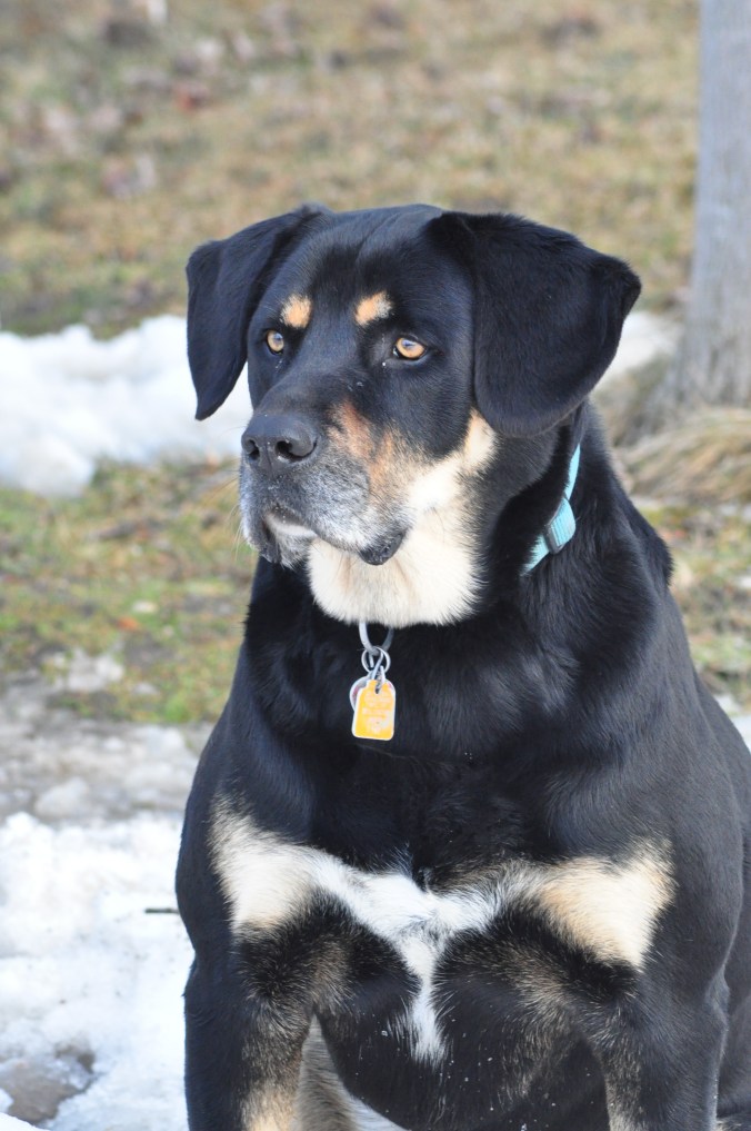 ST PATRICK'S DAY 060