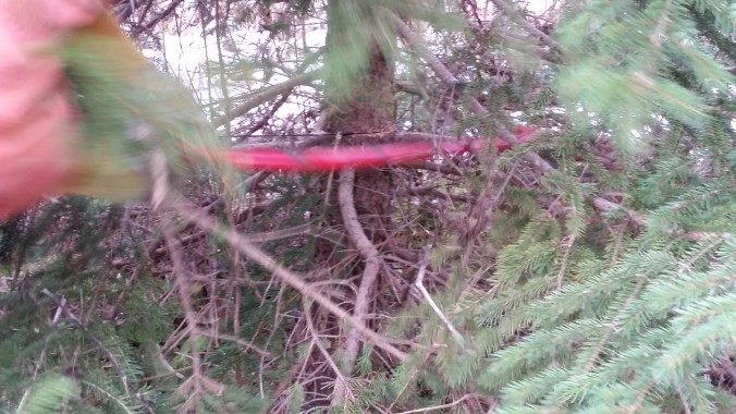 Losin' daylight here bud!