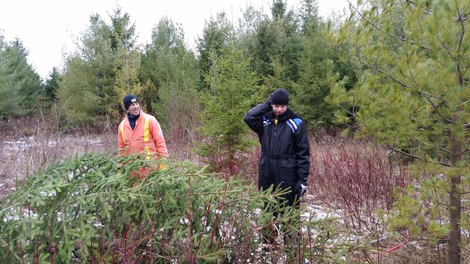 What doesn't kill you makes you stronger!