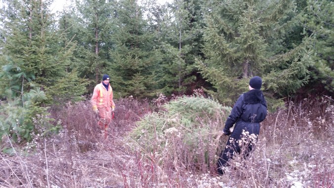 The Big Guy is now supervising!