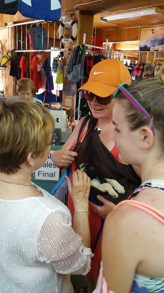 ARE YOU FREAKIN' KIDDING ME?!?