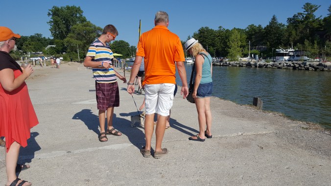 Pug pups = people magnets!